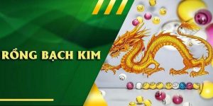 Soi Cầu Rồng Bạch Kim - Phương Pháp Hiệu Quả Cho Người Mới