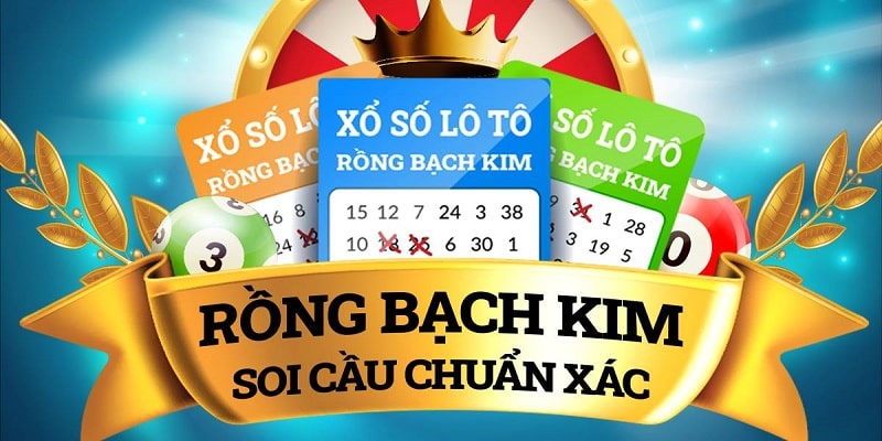 Những loại soi cầu rồng bạch kim được ưa chuộng nhất